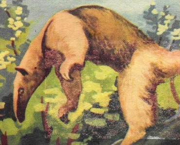 10386.jpg