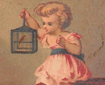 Image Matte Fils (01)