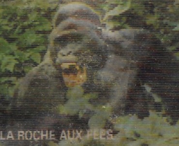 13688.jpg
