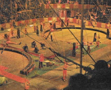 13785.jpg