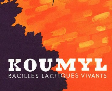 Pub Koumyl (01)