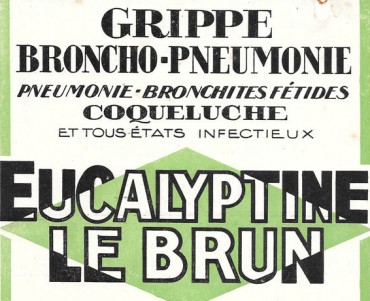 Notice Eucalyptine Le Brun