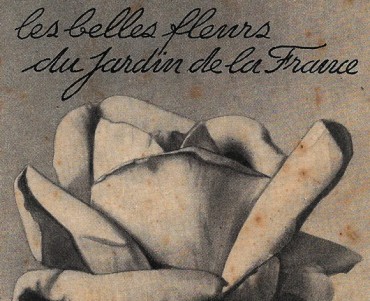 Carte Postale Pépinières de Touraine