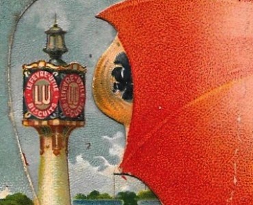 1446.jpg