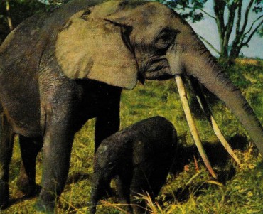 Images Côte d'Or (06)