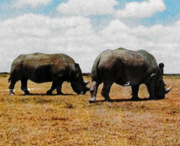 Images Côte d'Or (07)