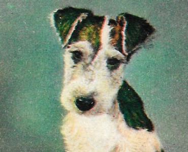 Images Fructines-Vichy