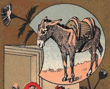 Images Moka Leroux (05)