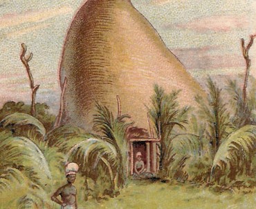 Image Phosphate Vital