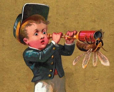 Image Au Camélia J Percheron