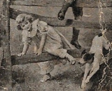 Calendrier 1920 Chaussures Roy 