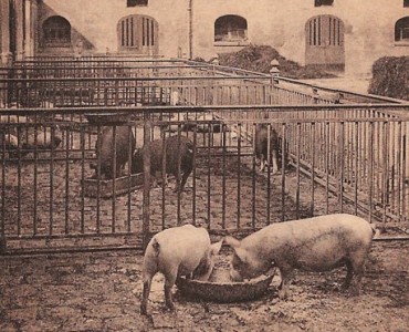 Carte Postale Ecole Nationale d'Agriculture de Grignon