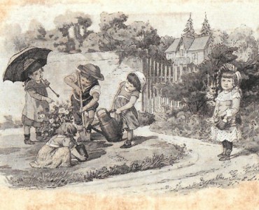 15602.jpg