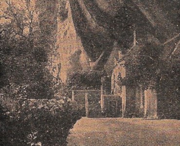 15795.jpg