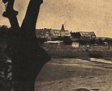 1618.jpg