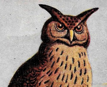 Images Deschiens (07)