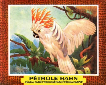 18181.jpg