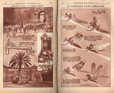 18874.jpg