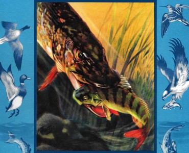 Album d'images Francorusse (03)