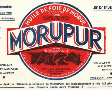 19217.jpg