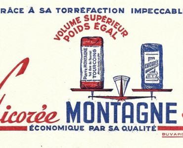 Buvard Chicorée Montagne
