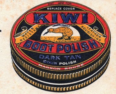 19529.jpg