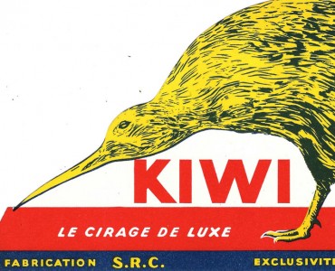19530.jpg