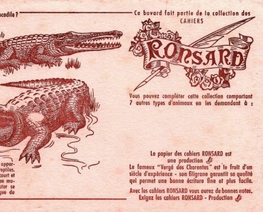 Buvard Ronsard