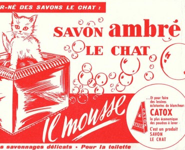 19769.jpg