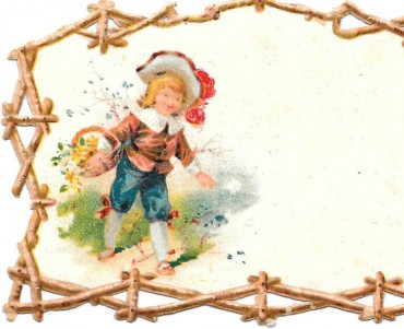 Image Chicorée A la Française (03)