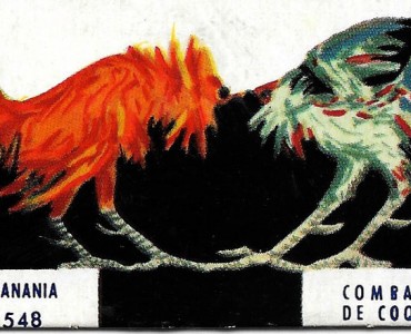 Découpis Banania (12)