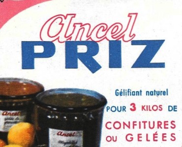 Notice Ancel Priz  (04)