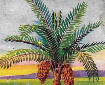 20907.jpg