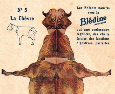 Images à découper Blédine