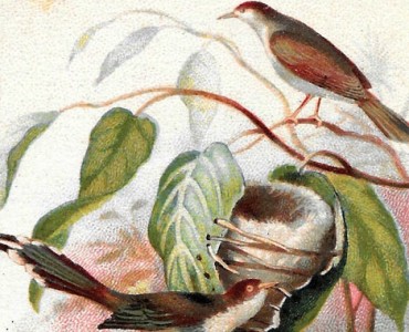 Image Vin de Vial (02)