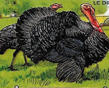 22173.jpg