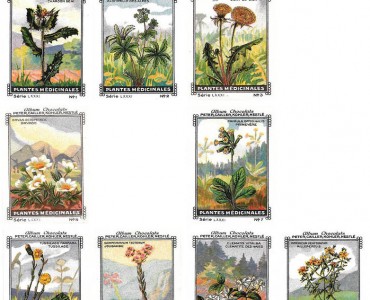 22186.jpg