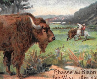 Images Vin de Vial (03)