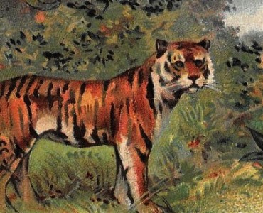 22390.jpg