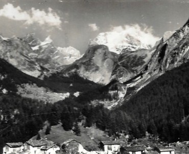 23062.jpg