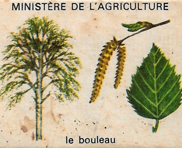 Boites d'allumettes Seita (30) 