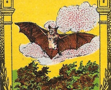 Images Blédine (04)