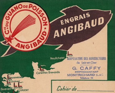 Protège-cahier Angibaud