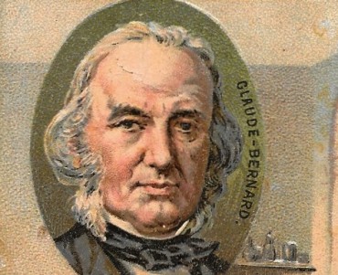 Images Poulain (006)