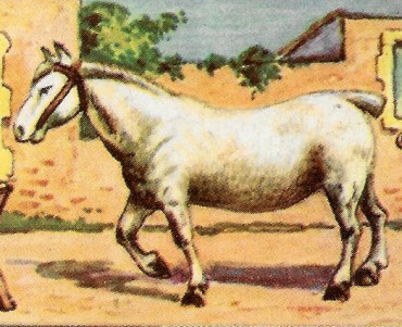 24899.jpg