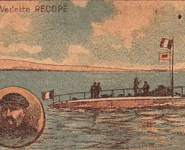 Image Chicorée Téka