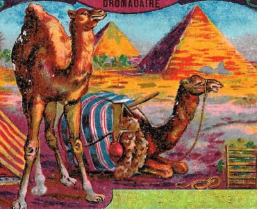 Image Tout pour la musique