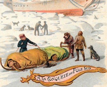 Images Poulain (199)