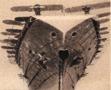 26393.jpg