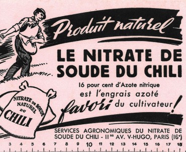 Buvard Nitrate de soude du Chili